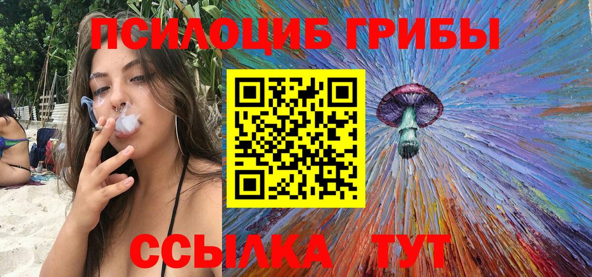 Кудрово  Галлюциногенные грибы мицелий  Вход с VPN 