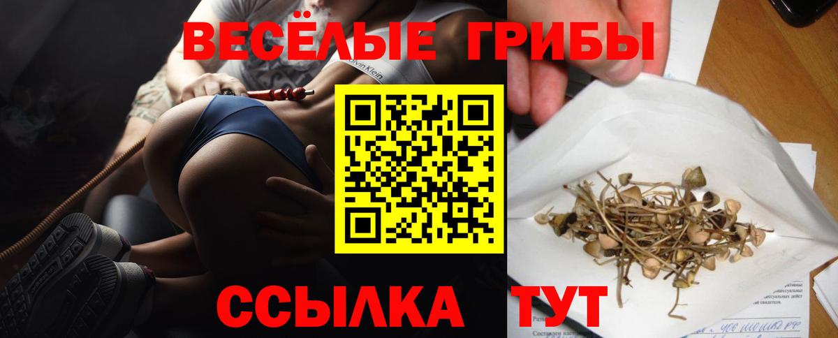 Галлюциногенные грибы GOLDEN TEACHER Кудрово
