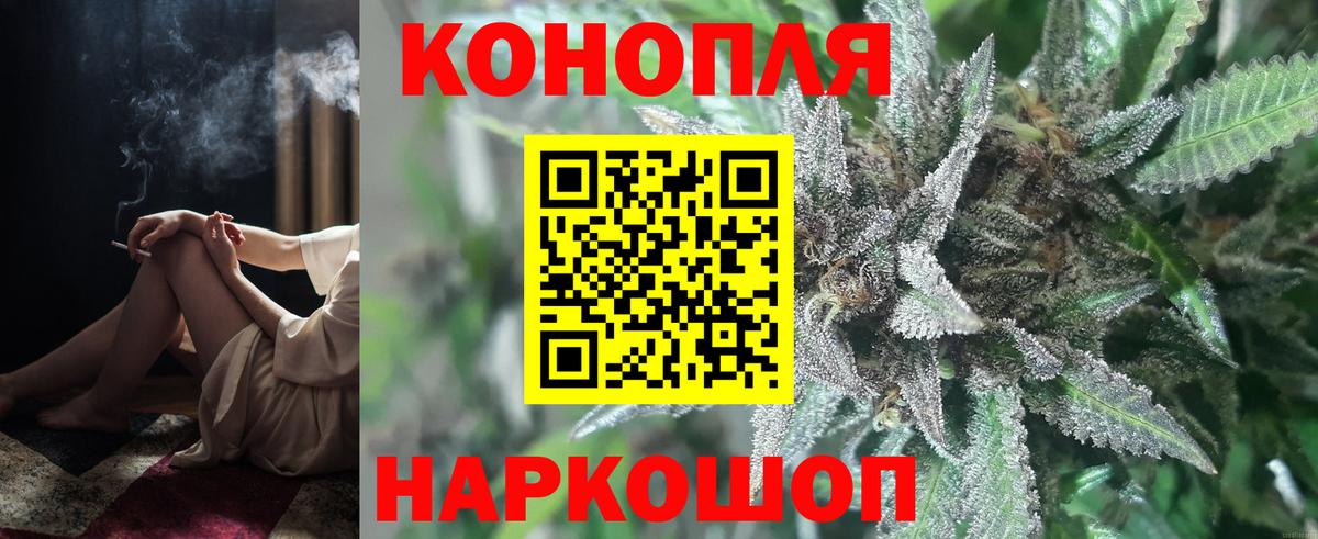 Канабис семена Кудрово